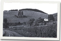 Bryn Glas, Sir Faesyfed. Mae'r coed ynghanol y cae yn coffáu'r milwir a laddwyd yma.