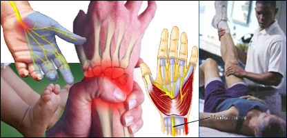 دلاس اوپښې وديديدل