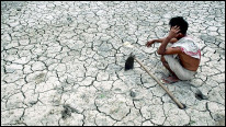 An Indian farmer waits for rain on his drought hit paddy field. AFP Getty.