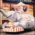 The Elephant