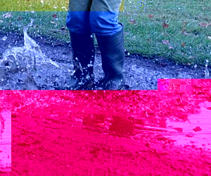 Jumping in a puddle of rain