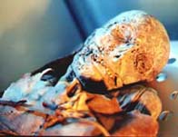 Image showing a male Guanche mummy