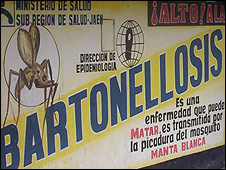 Campaña de alerta sobre la bartonellosis