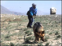 مرکز ماين پاکی ملل