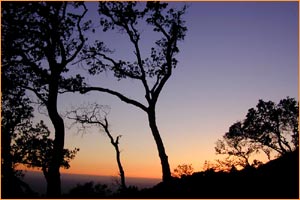 ناروے کے شہر میلبو میں صبح کے منتظر