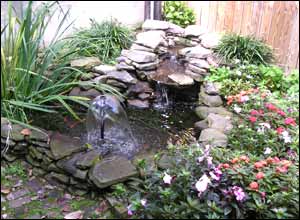 عکس از سپيده کرای