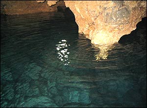 عکس از عليرضا يارپرور