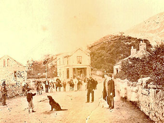 Donkey Boys a'r postmon.