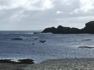 Funzie as it normally is