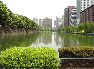 عکس از محسن جلالی