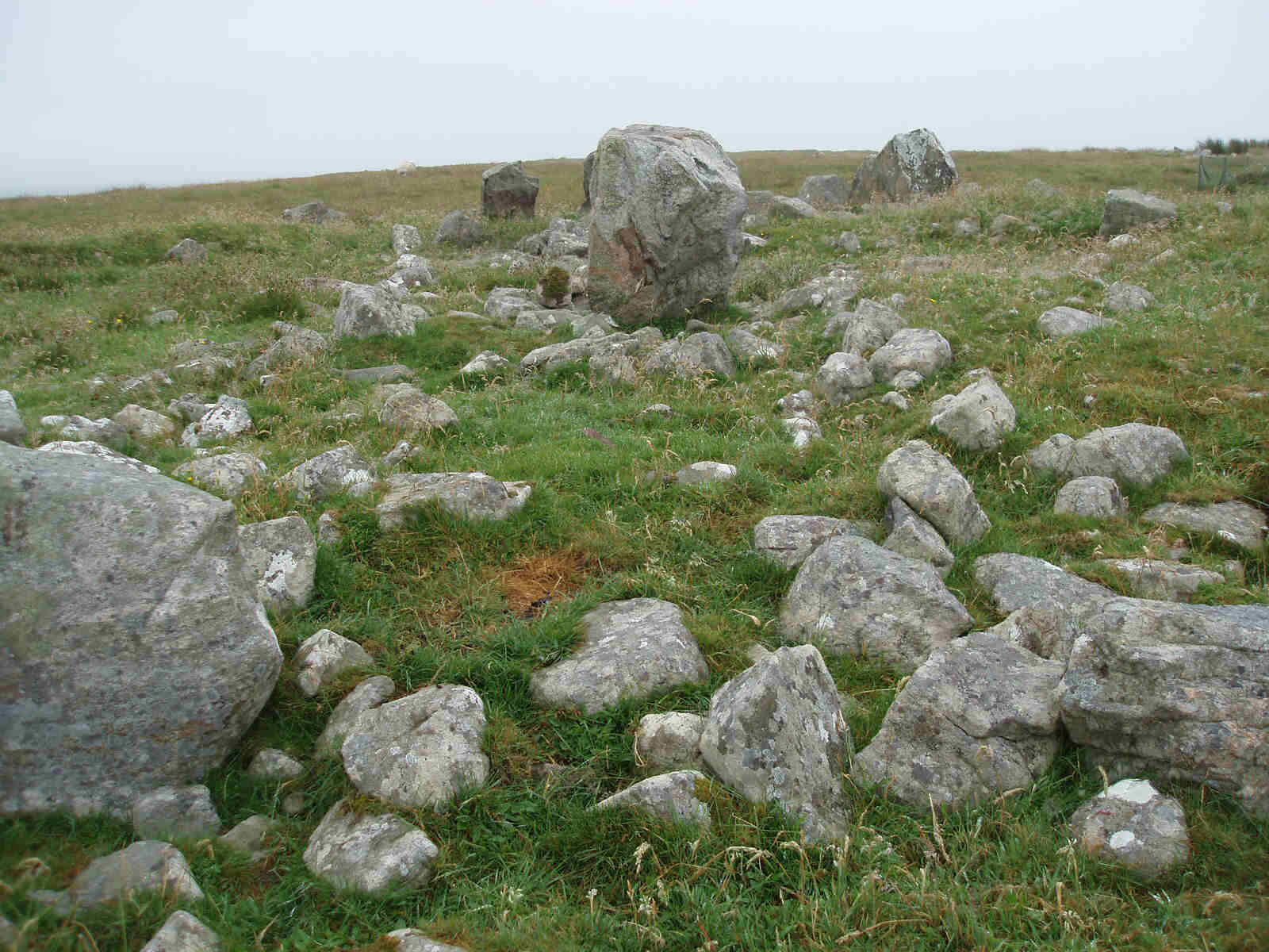 Steinacleit Homestead