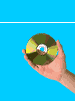 hand with cd