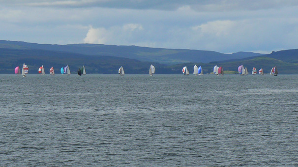 Dozens of sailing boats on a calm sea