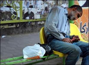 عکس از مملی رضائی