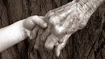 hands - www.istockphoto.com