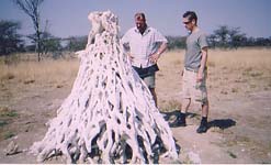 A model of a termite mound