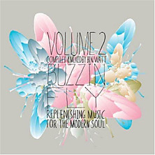 Review of Buzzin Fly Volume 2
