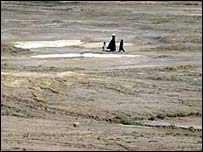 مرداب های خشک شده