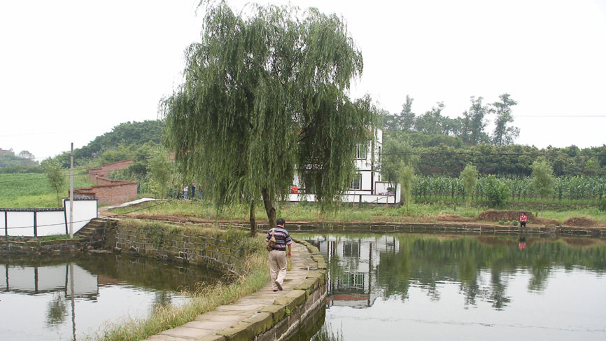 Farm views - ponds and farmhouse.