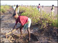 इरूला जनजाति