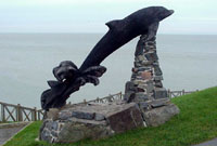 Dolffin Aberporth