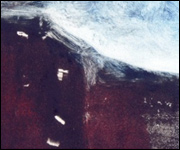 Detail from Castillo by Lesley Birch