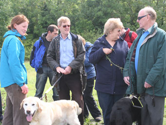 Cerddwyr yn y Spinnies