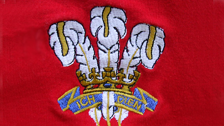 Y tair pluen ar grys rygbi (Llun: Tomasz Przechlewski, flickr.com)