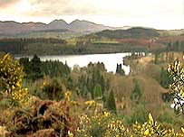 Castlewellan