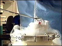 Amostras, fertilização in vitro