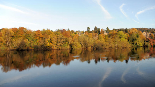 In this next photo from John, Kinnoull Church is just visible between the leaves.