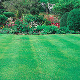 A Lawn