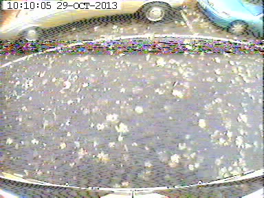 View from the roof of Exeter College