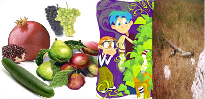 موزونې کليمې