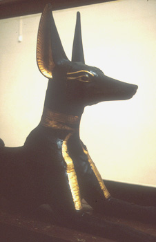 The jackal god Anubis