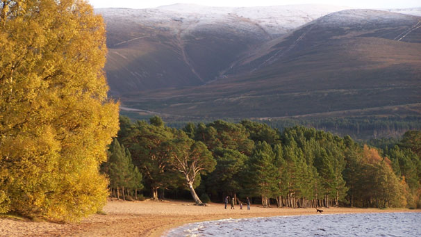 Loch Morlich