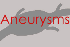 Aneurysms