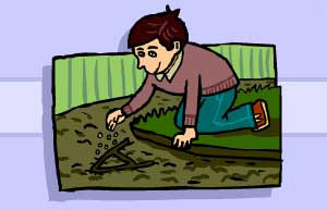 Grow your own initial in corn