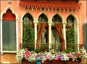 عکس از فرانک بوب