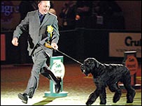 Best in Show 08: Jafrak Philippe Olivier