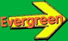 Find out about the evergreen tree