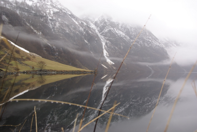 Nærøfjord from Bakka