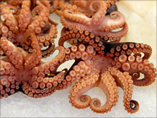 Octopus_in_fish_market