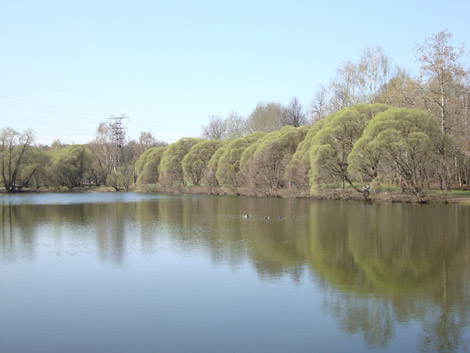 A lake in Moscow