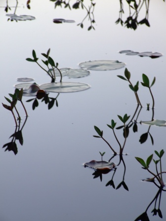 Lochan near Struth Mor, North Uist