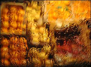 عکس از بابک برزويه