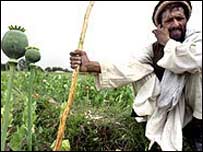 Afghánský farmář