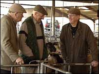 David at Oldsworthy Livestock Market