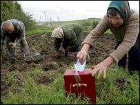 Білоруси голосували навіть у полі