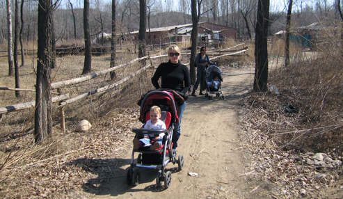 goose and duck ranch